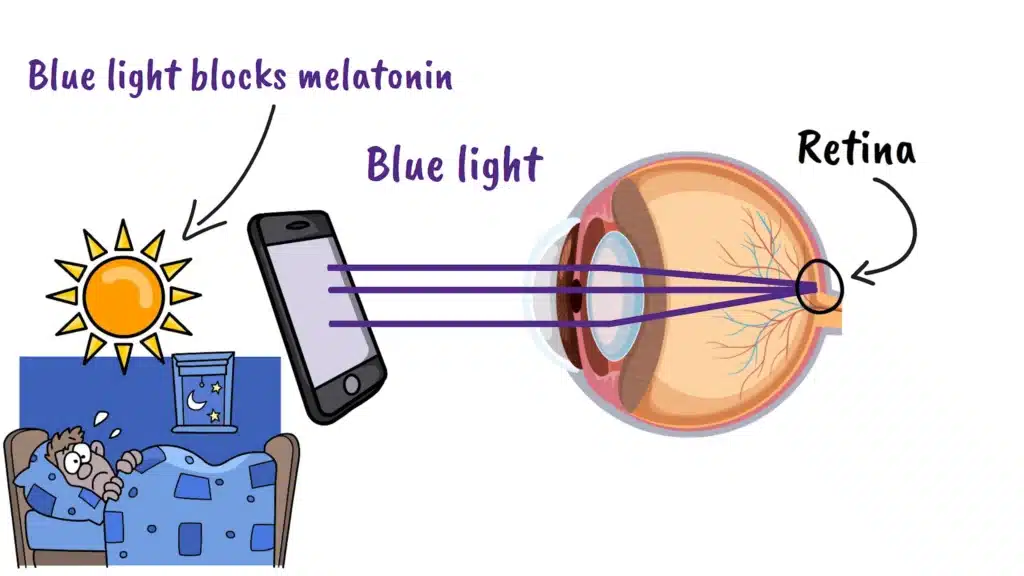 Blue light and the eye