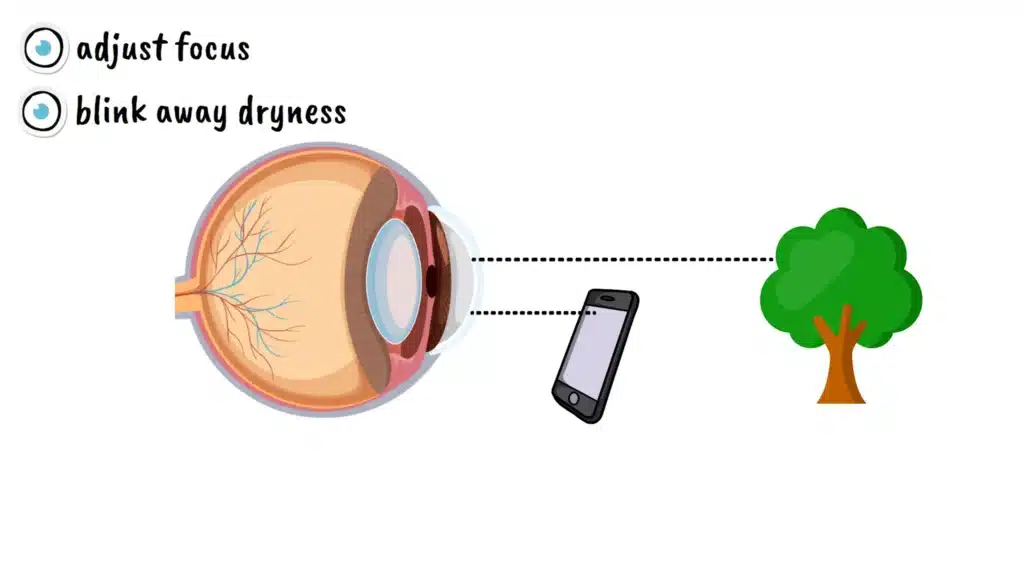 Intro to How Smartphones Are Slowly Destroying Your Vision