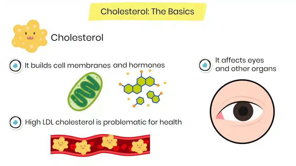 Intro to cholesterol