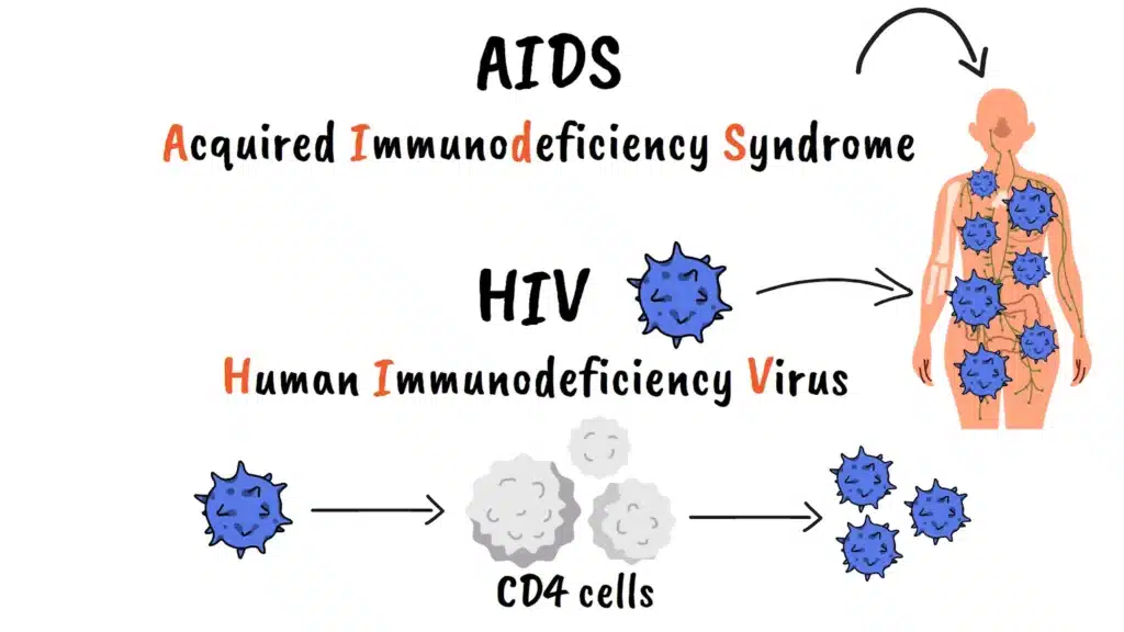 What's AIDS and HIV