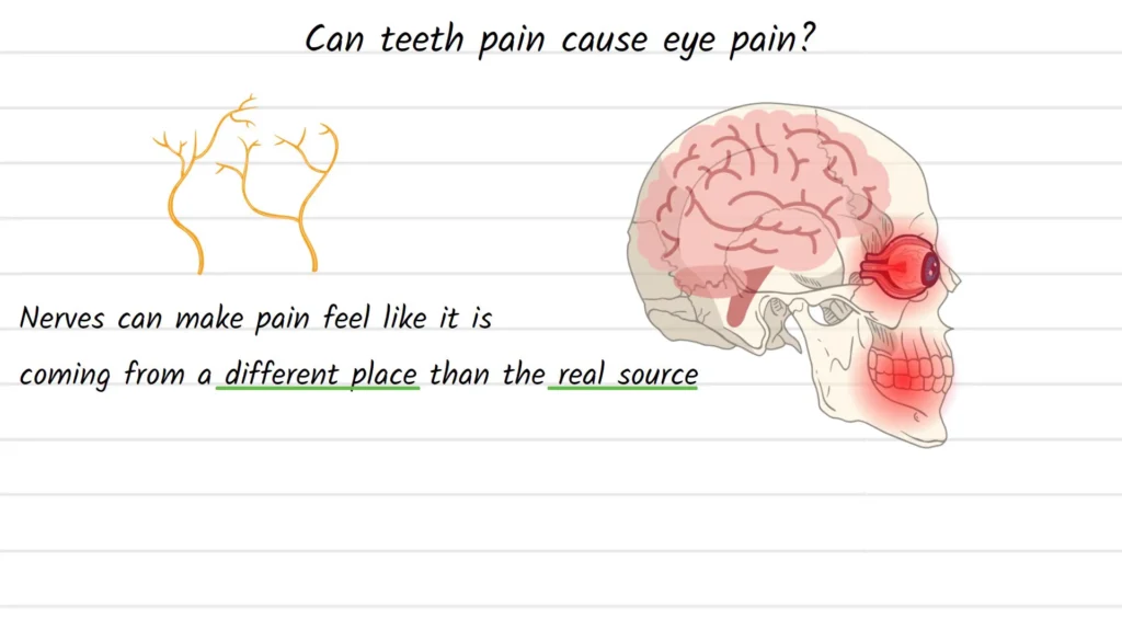 Can teeth pain cause eye pain