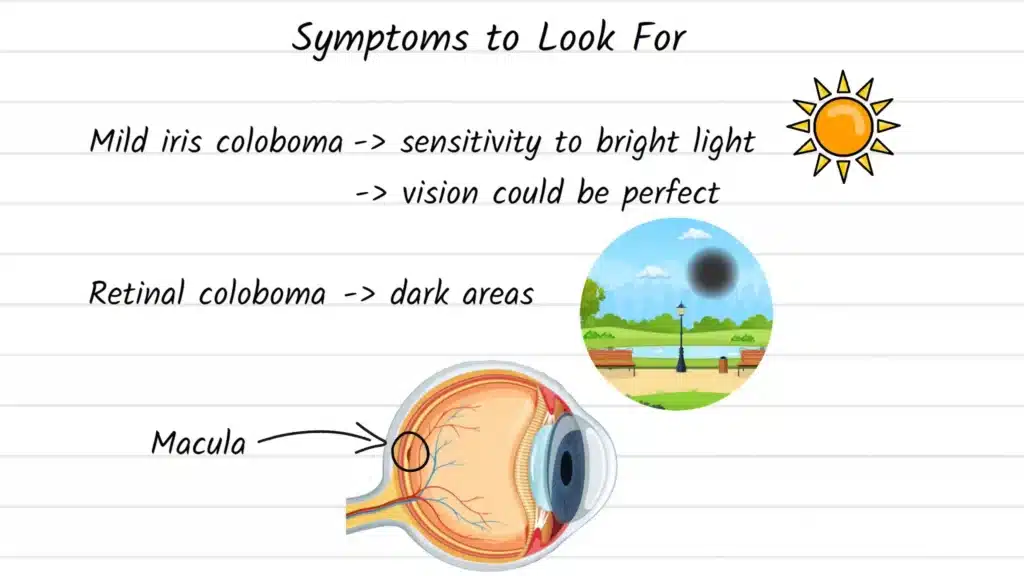 Coloboma symptoms